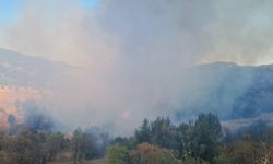 Burdur'da orman yangını