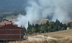 Bursa'da anız yangını; 30 dönümlük alan zarar gördü