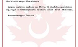 Bursa'da orman yangını (3)