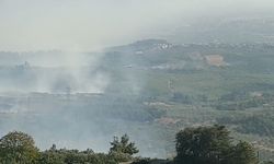 Bursa'da orman yangını (4)