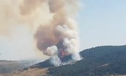 Çankırı'da çıkan orman yangını kontrol altına alındı