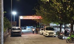 Ceviz silkelerken ağaçtan düşen eski muhtar öldü