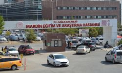 Ceviz toplamak için çıktığı ağaçtan düşen muhtar öldü