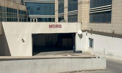 Ceviz toplarken ağaçtan düşüp öldü