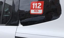 Çocukları koruma altına alınan aileden polislere taşlı saldırı