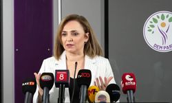 DEM Parti'li Doğan: Niye bu komisyonun hala bir yol haritası yok