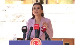 DEM Parti'li Koçyiğit: Komisyon bir an önce Ada'ya gitmeli