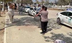 Direksiyon sınavını kazandı, sevincini davul- zurna eşliğinde kutladı; o anlar kamerada
