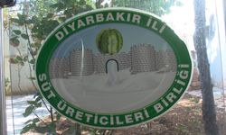 Diyarbakır'da 76 dev karpuz, yarışma öncesi soğuk hava deposunda korunuyor