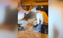 Düğün sonrası damada işkence gibi eğlence