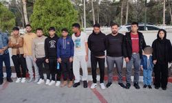 Edirne'de 12 kaçak göçmen yakalandı; 1 gözaltı