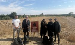 Edirne'de 5 kaçak göçmen yakalandı