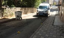 Elazığ'da otoparka pompalı tüfekli saldırı: 1 yaralı