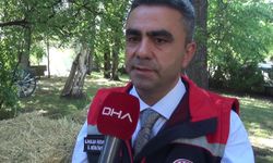 Erzurum'da 120 görevli 817 bin hayvanın yüzde 60'ını aşıladı
