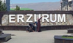 Erzurum'da 4.4 büyüklüğünde deprem (2)