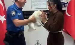 Evden ziynet eşyası ile köpek çalan şüpheli yakalandı