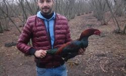 Fabrikada duvar ile çelik boru arasına sıkışan işçi öldü