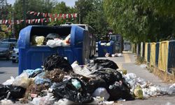 'Harmandalı Katı Atık Depolama Tesisi'ne geçici izin