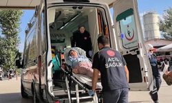 İnegöl'de, küçükbaş çiftliğindeki yangın söndürüldü