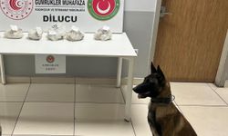 İran plakalı TIR'ın stepnesinde 5 kilo eroin ele geçirildi