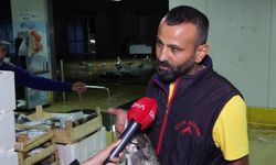 İstanbul - Balıkçılar sezonun ilk avından döndü