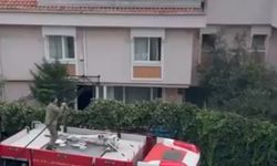 İstanbul - Maltepe'de 3 katlı binanın çatısında çıkan yangın söndürüldü