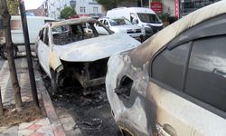 İstanbul- Sultangazi'de para vermeyen kardeşine kızdı, 3 aracı yaktı