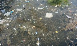 İzmir'de derede kirlilik