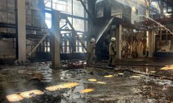 İzmir'de fabrika yangını kontrol altında (2)