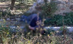 İznik'te tarihi surların dibinde erkek cesedi bulundu (2)