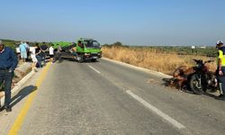 Kamyonetle çarpışan sepetli motosikletin sürücüsü öldü