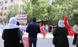 'Kardeşimi üniversite okurken kandırıp dağa götürdüler'