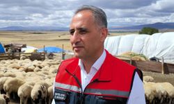 Kars'ta 1,5 milyon küçükbaş, hastalıklara karşı aşılanıyor