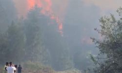 Kastamonu'daki orman yangınına müdahale sürüyor; bölge dronla görüntülendi