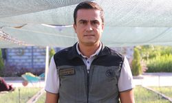 Kayseri'de yetiştirilen fidanlar, yanan orman alanlarını yeşertecek
