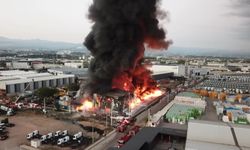 Kocaeli'de lojistik deposunda yangın (2)