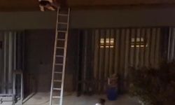 Konseri izlemek için çıktığı çatıdan atıldı, savcılık soruşturma başlattı