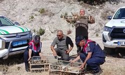 Kütahya'de ele geçirilen 142 saka kuşu doğaya salındı