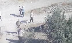 Kuzenlerin sondaj kuyusu açma kavgası; çiftin darbedildiği anlar kamerada