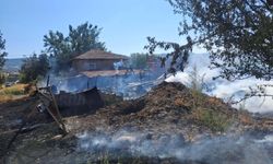Manisa'da ahırda çıkan yangında 21 koyun öldü