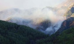 Muğla'da 3 bin hektar ormanın zarar gördüğü yangında yanan alanlar dronla görüntülendi