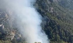 Muğla'da orman yangını