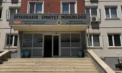 Ölü koyunun karnında uyuşturucu sevkiyatı polise takıldı: 1 gözaltı