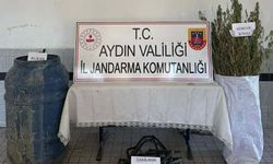 Ormanda Hint keneviri yetiştiren 5 şüpheliye gözaltı
