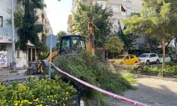 Park halindeki otomobilin üzerine ağaç devrildi
