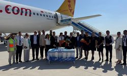 Pegasus, Hatay uçuşlarına yeniden başladı
