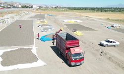 Rekoltenin yüzde 30 düştüğü Kayseri'de, ayçiçeği hasadı başladı