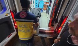 Rize'de devrilen kamyonetin sürücüsü öldü