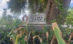 'Sıtma Dede'nin mezarı yolun ortasında kaldı