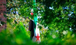 Suriye bayrağı, Washington'da göndere çekildi